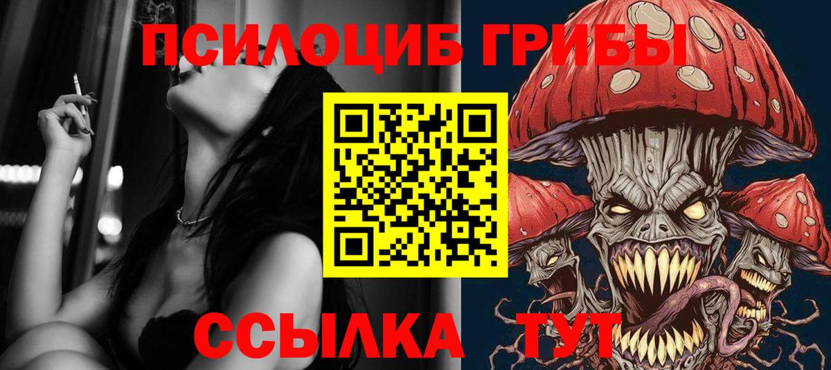 Галлюциногенные грибы мицелий  Псилоцибиновые грибы Cubensis  купить наркотик  Вход с VPN  Кызыл 